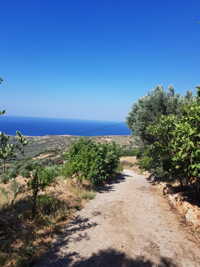 Villa Ikarus Triopetra Exterior foto