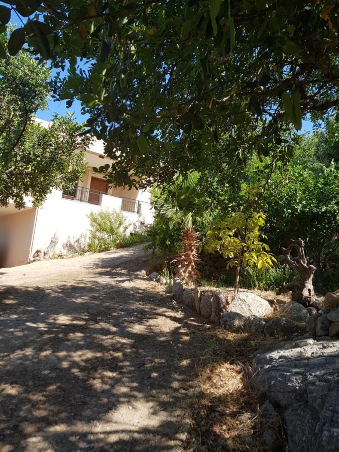 Villa Ikarus Triopetra Exterior foto